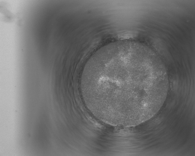 X0000080151393200612302115