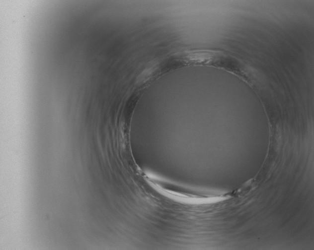 X0000080151394200612302115