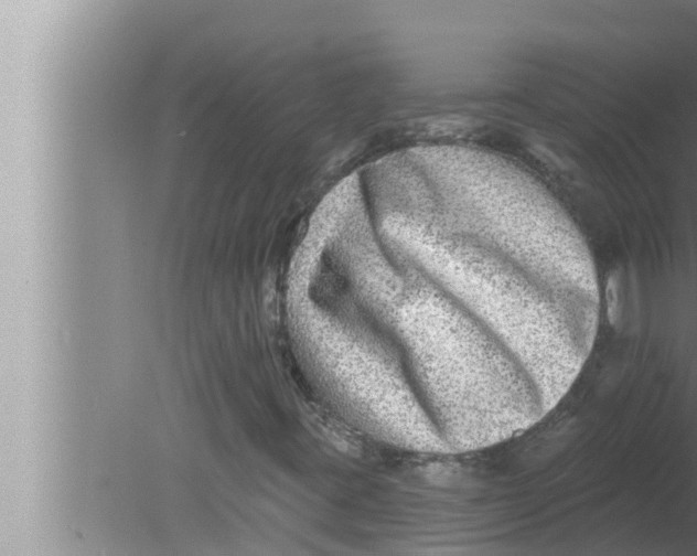 X0000080151395200612302115