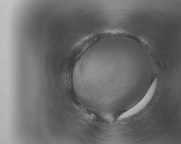 X0000080151398200612302115