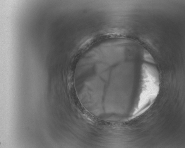 X0000080151399200612302115