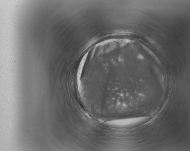 X0000080151401200612302116