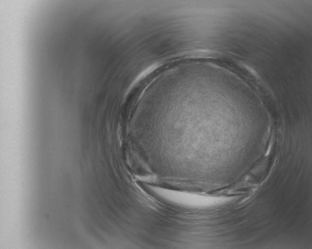 X0000080151402200612302116