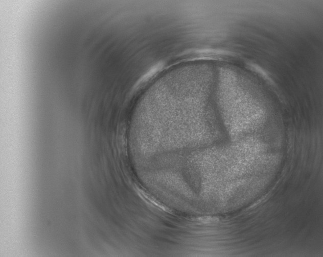 X0000080151403200612302116