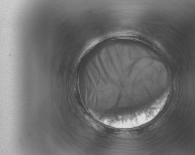 X0000080151405200612302116