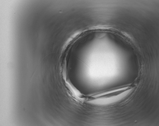 X0000080151406200612302116