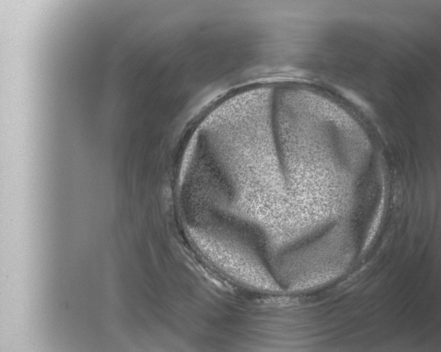 X0000080151407200612302116