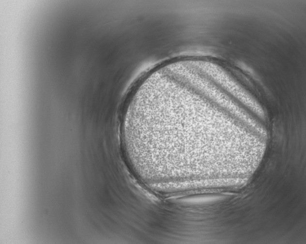 X0000080151408200612302116