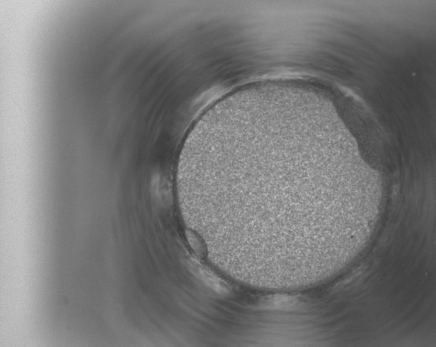 X0000080151409200612302116