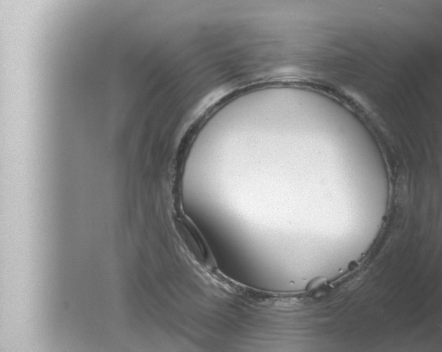 X0000080151410200612302116