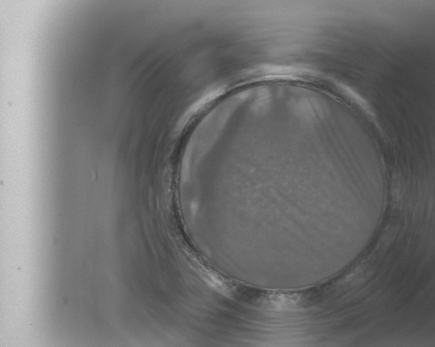 X0000080151411200612302116