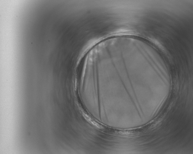 X0000080151413200612302116