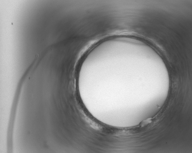 X0000080151414200612302116