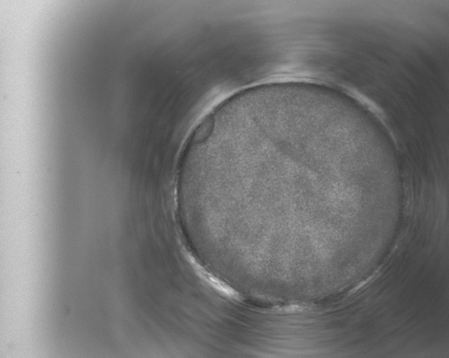 X0000080151415200612302116