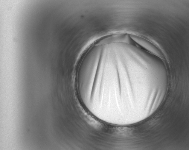 X0000080151416200612302116