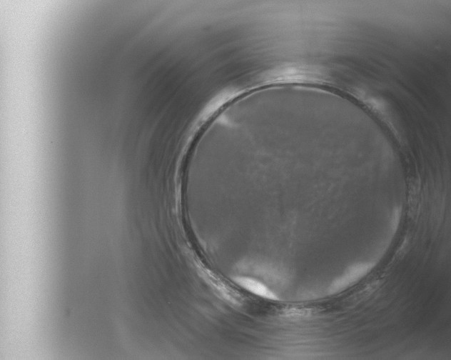 X0000080151419200612302116