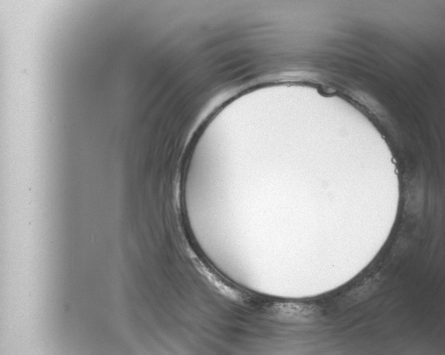 X0000080151420200612302116