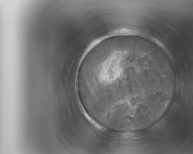 X0000080151421200612302116