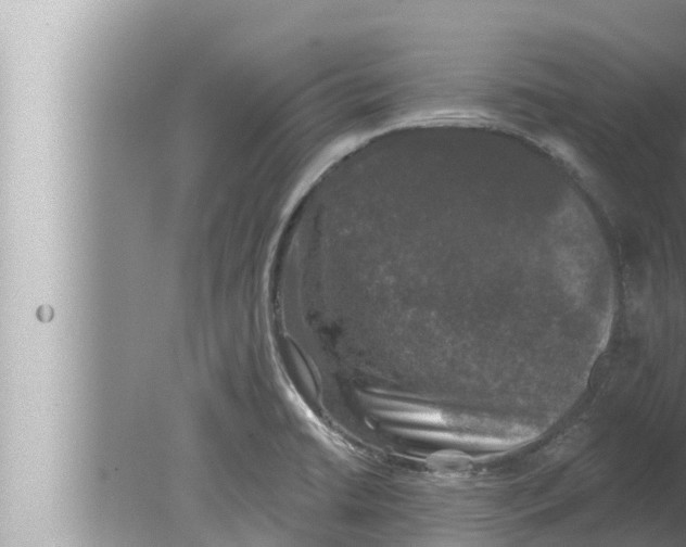 X0000080151422200612302116