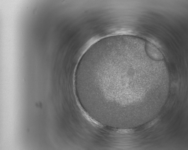 X0000080151423200612302116