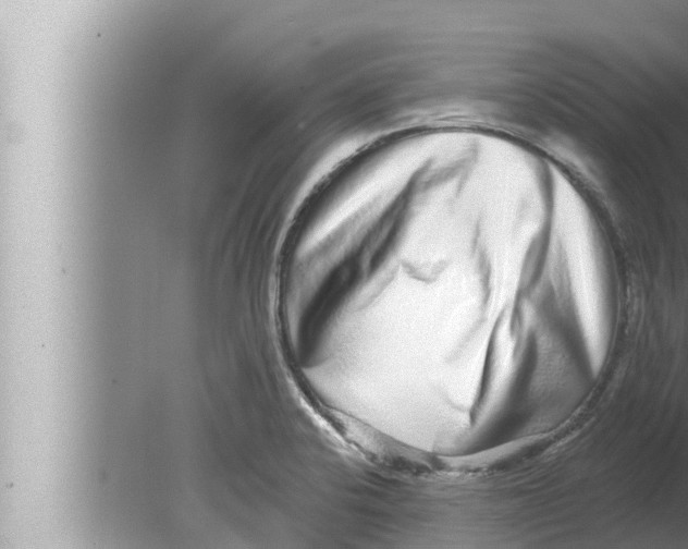 X0000080151424200612302116