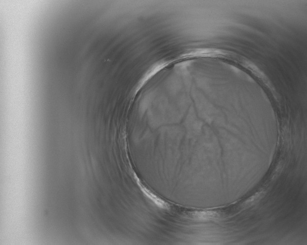 X0000080151425200612302116