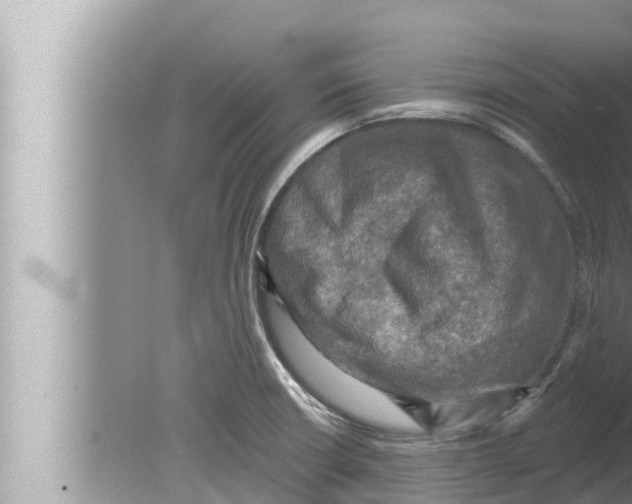 X0000080151426200612302116