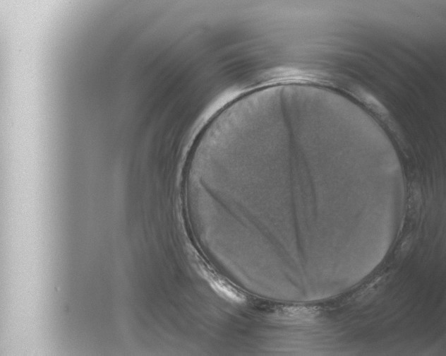 X0000080151427200612302116