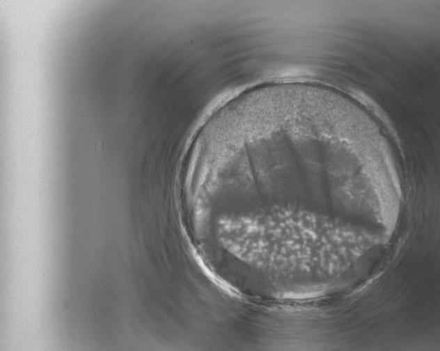 X0000080151429200612302116