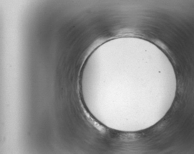 X0000080151431200612302116