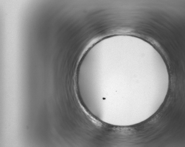 X0000080151432200612302116