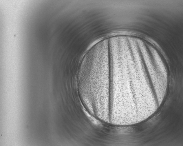 X0000080151433200612302116