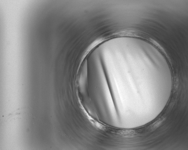 X0000080151434200612302116