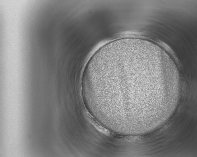 X0000080151435200612302116