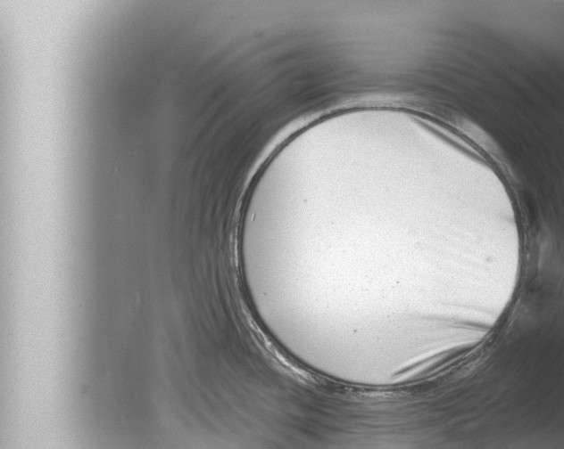 X0000080151436200612302116