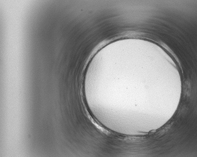 X0000080151437200612302116