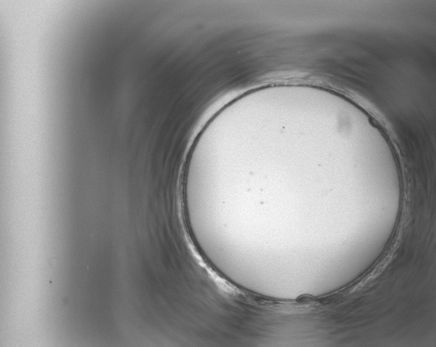 X0000080151440200612302116