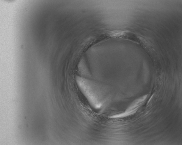 X0000080151441200612302115