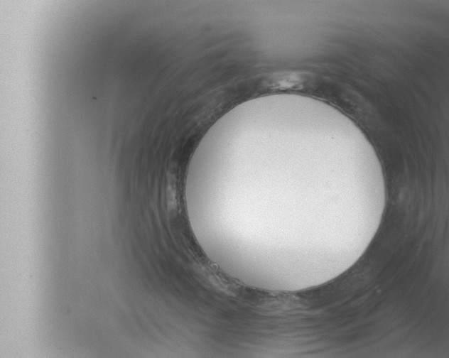 X0000080151442200612302115