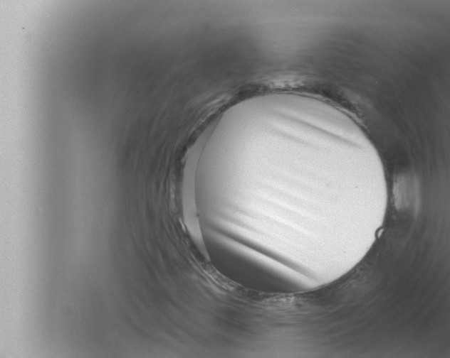 X0000080151444200612302115