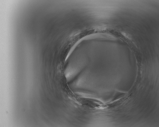 X0000080151445200612302115