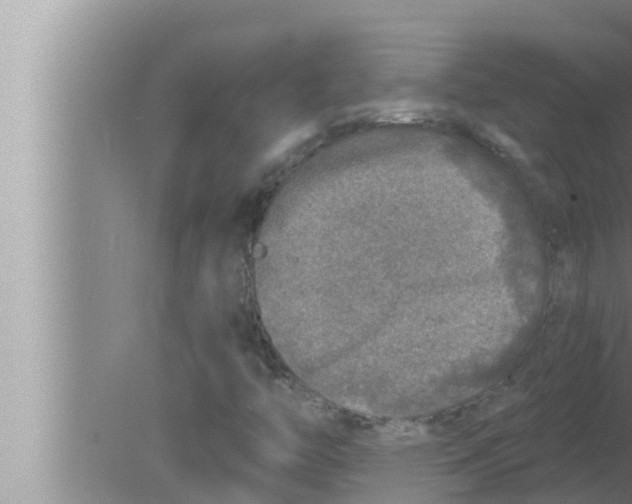 X0000080151446200612302115