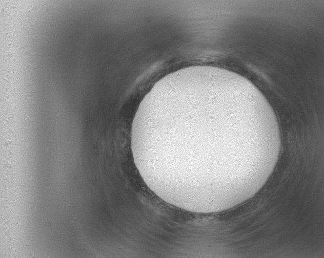 X0000080151447200612302115