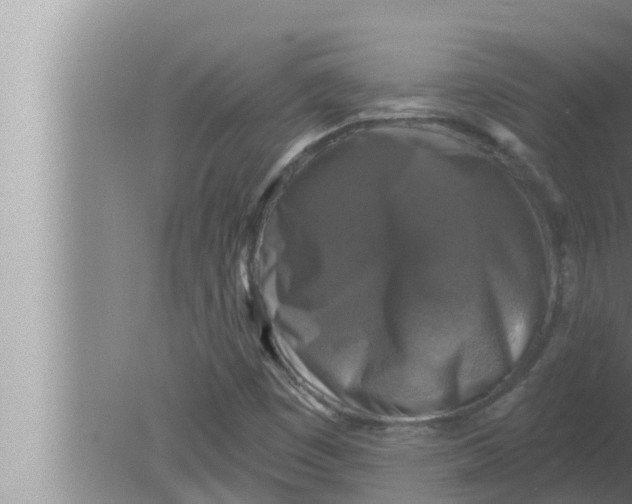 X0000080151449200612302115