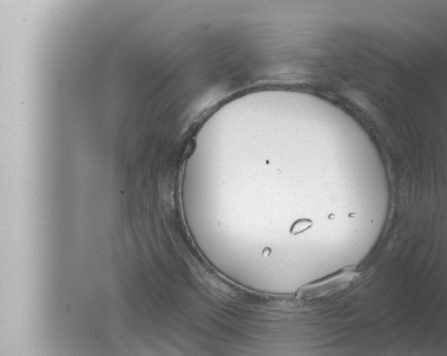 X0000080151451200612302115