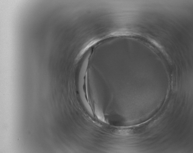 X0000080151453200612302115