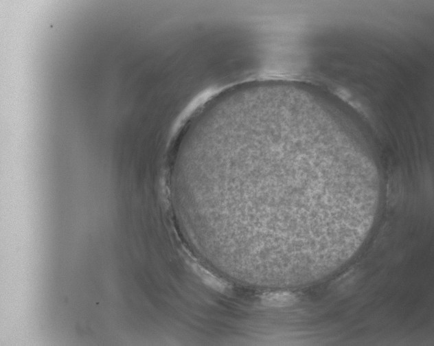 X0000080151454200612302115