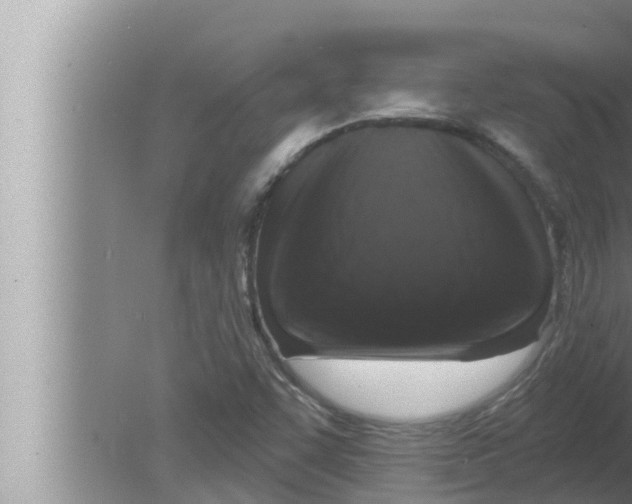 X0000080151455200612302115