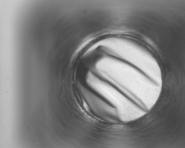 X0000080151456200612302115