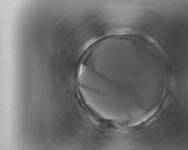 X0000080151457200612302115